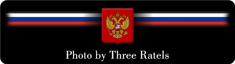 Three Ratels TZ-578 14.4 на 15см 1-5шт TATAR INSIDE татарин в машине наклейки на авто наклейки на автомобиль