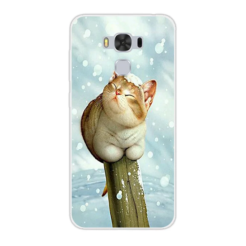 Для Asus Zenfone 3 Max ZC553KL чехол дизайн с пейзажем Чехол Для Zenfone 3 Max 553KL Мягкий Силиконовый Чехол Для Zenfone 3 Zc553kl