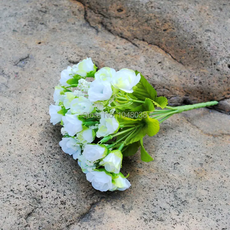 Абрикос Одежда высшего качества розовыми цветами Европейский 1 букет