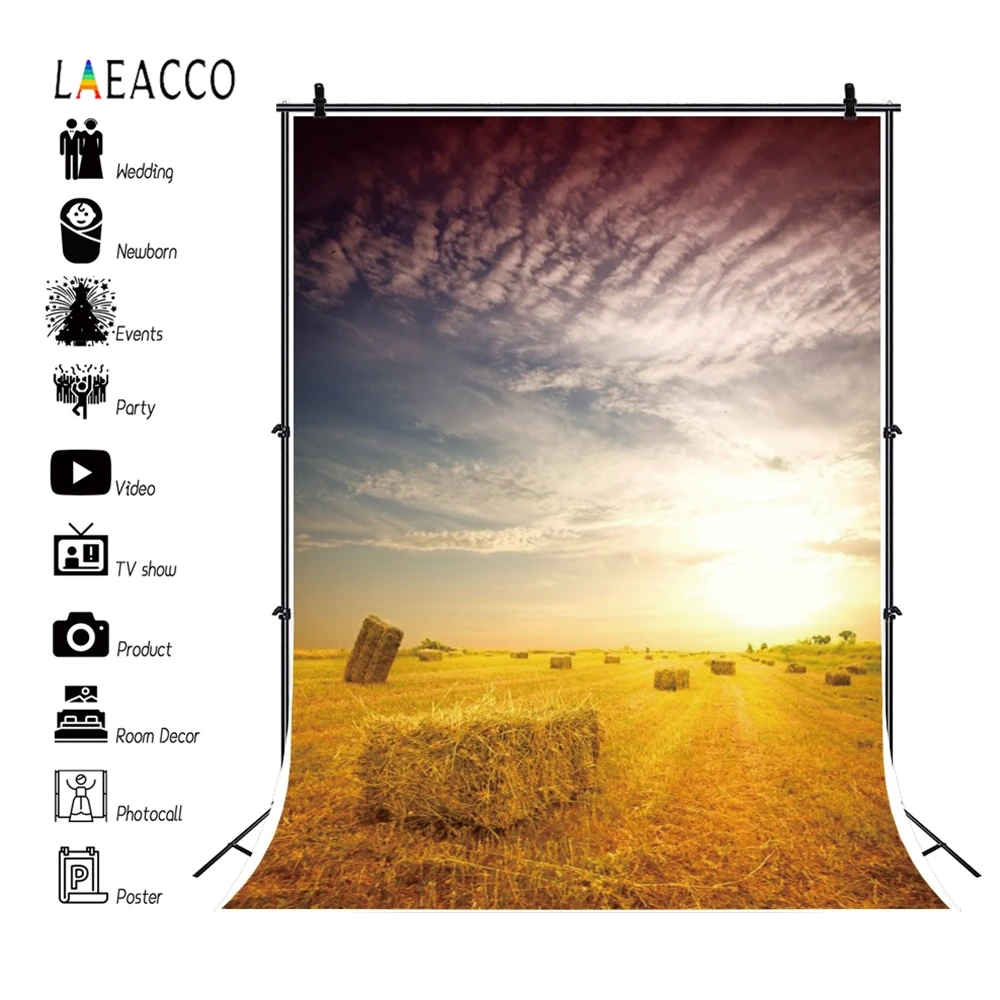 Laeacco на школьном пути доска дети сцены фотографии фоны индивидуальные
