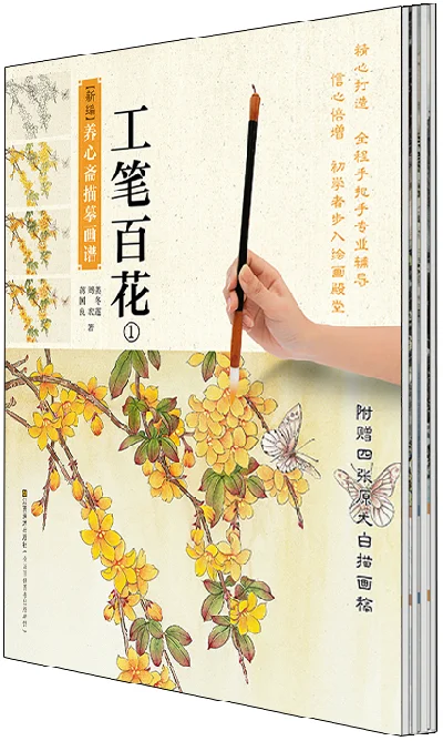

chinese painting textbook:Chinese traditional gongbi painting book for starter learners , Sketches book with color ,4books/se
