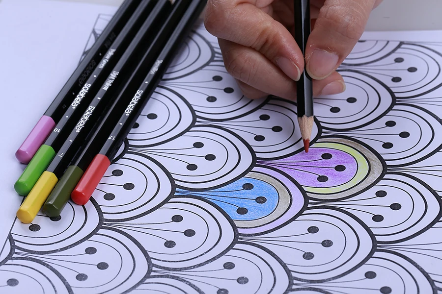 Solabela 48 шт цветные карандаши для рисования изобразительного искусства масляная