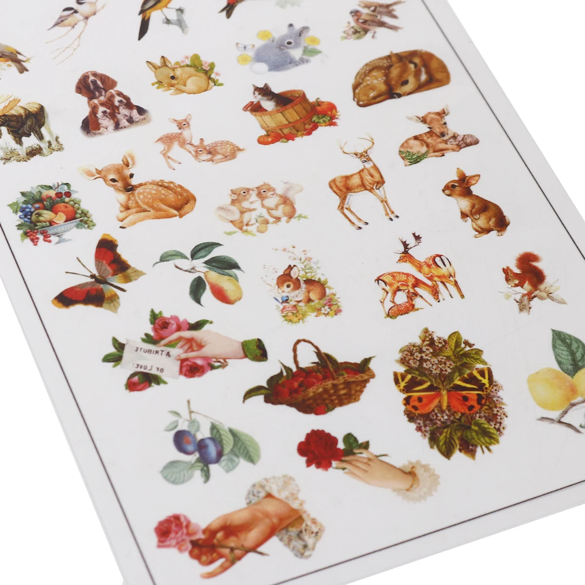 Наклейки из смолы и ПВХ DIY Scrapbook Deco прямоугольные разноцветные цветочные листья 15