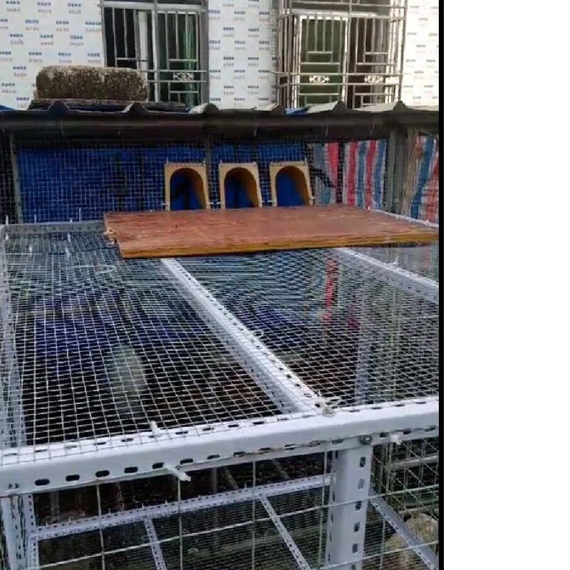 Клетка для голубя двери гонки голубь европейская клетка входная дверь барьер