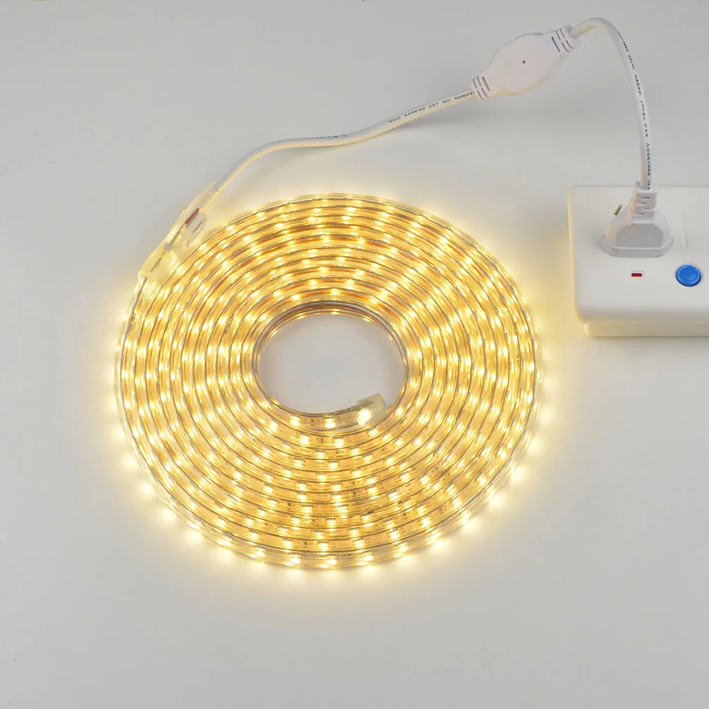 Warm white no remot 5 м 10 м 15 м 20 м 25 м 220 В 5050 SMD RGB светодиодный светильник гибкая светодиодная лента 60 светодиодный s/M наружный садовый светильник ing адаптер с вилкой европейского стандарта - Испускаемый цвет: Warm white no remot