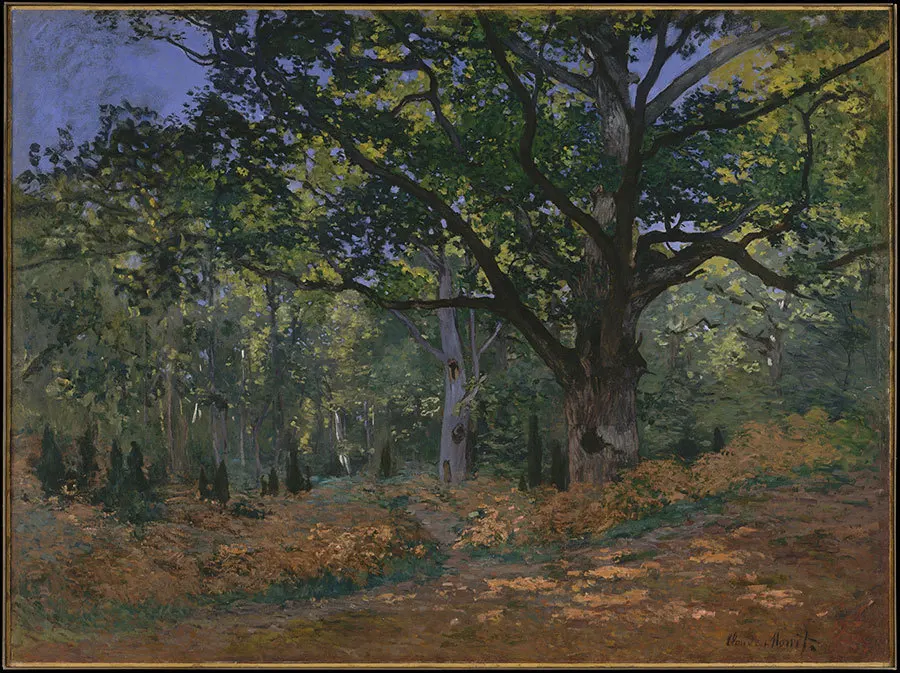 Impressionist - Handmade Canvas Oil painting The Bodmer Oak Fontainebleau Forest Claude Monet 1865 | Дом и сад