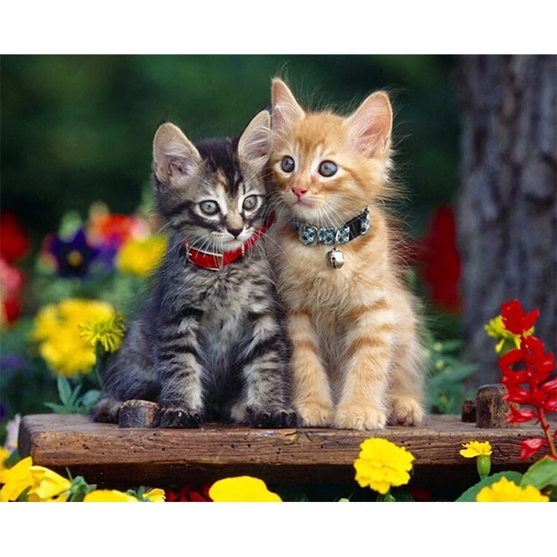 3D diy diamond embroidery mosaic pattern home decor wall sticker full painting cross stitch Two cute cats kids gift | Дом и сад