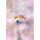 Набор для алмазной вышивки 3D 