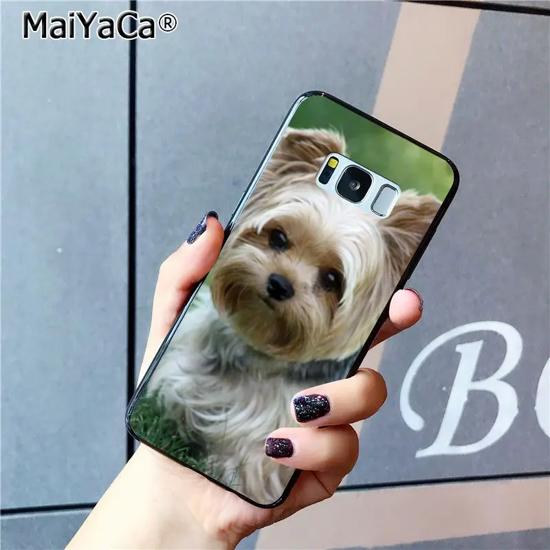 MaiYaCa чехол для телефона с щенком йоркширского терьера Samsung Galaxy S20 S8 S7 edge S6 S10Plus S10lite