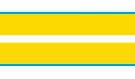 Blue and Yellow 8 цветов, наклейки для автомобиля и наклейки для Ford Mustang-, 10 дюймов, двойной ралли, полоски, автомобильная наклейка, авто капот, гоночный винил - Название цвета: Blue and Yellow