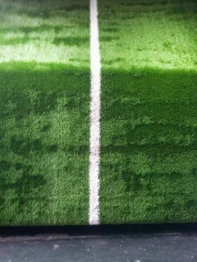 Газонная трава astro для полевого поля|grass|grass turf |