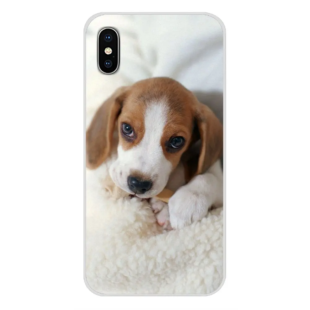 Все виды постов beagle для Apple iPhone X XR XS MAX 4 4S 5 5S 5C SE 6 6S 7 8 Plus ipod touch TPU Прозрачный чехол |