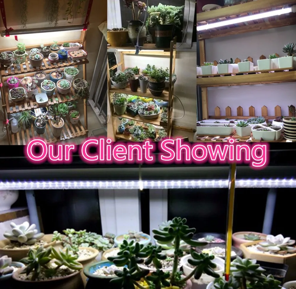 T8 White Color Full Secptrum LED Growth Light Bar Indoor Plant Pack of 4 | Growing Lamps