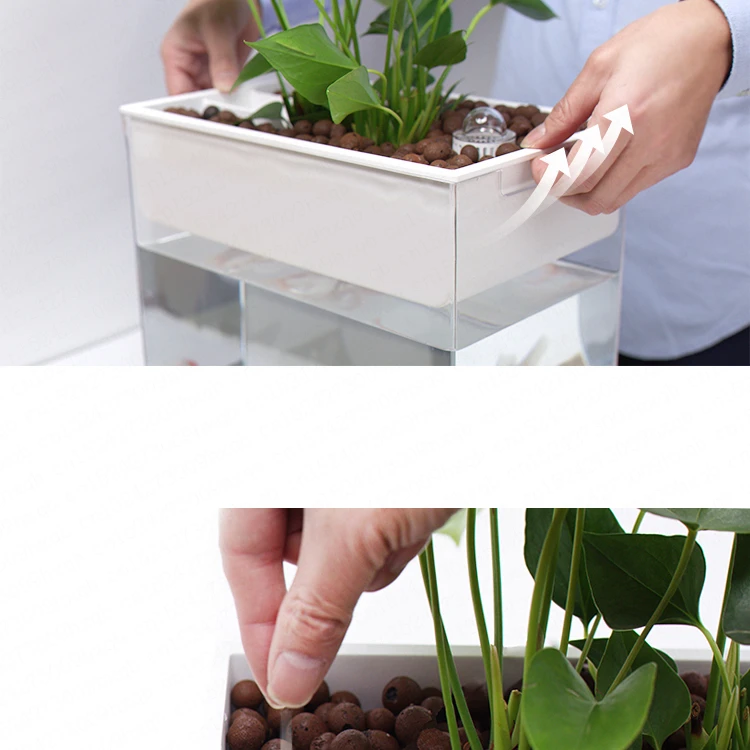 Ультрапрозрачная пластиковая аквариумная рыбка Betta, настольная аквариумная рыбка AquaView, экологический аквариум для украшения помещений