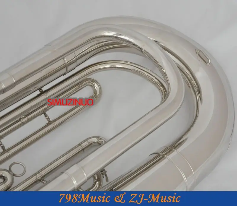 Рисунок 3 - Профессиональный никелевый посеребренный