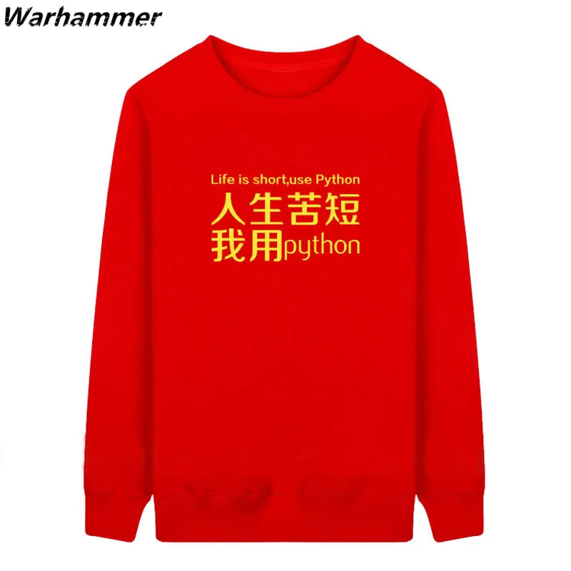 Программатор питона толстовки для мужчин это Программирование должны иметь Hombre