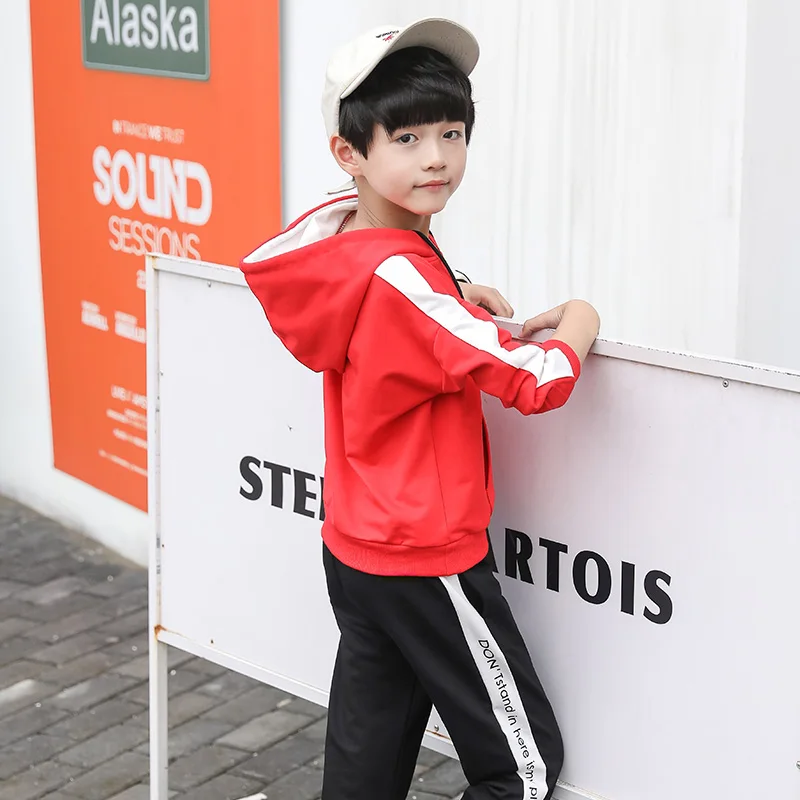 

Autumn Spring Kids Clothes Big Boys Clothing Set 2pcs Boys Tracksuit Children Casual Hooded Sweatshirt+Pants Boy