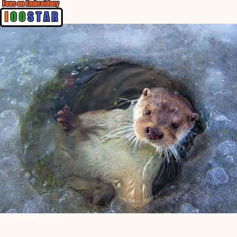 Алмазная 5D Вышивка сделай сам с изображением милого морского льва картина маслом