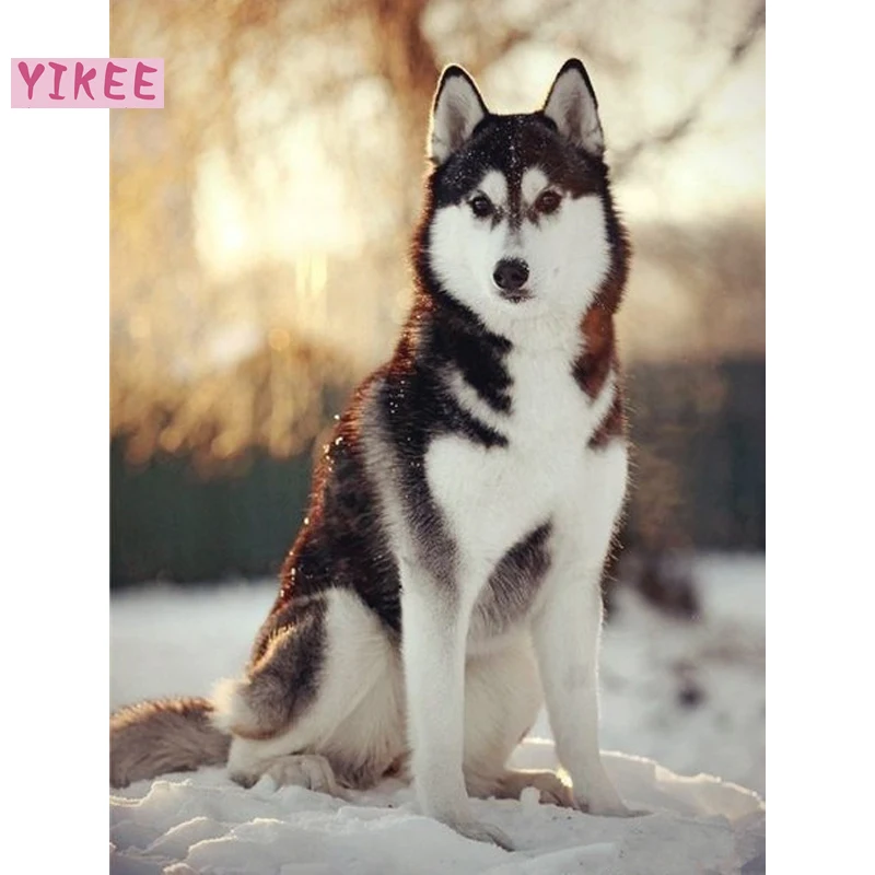 H1037 5d diy diamond painting crystal Sled dogs full square | Дом и сад