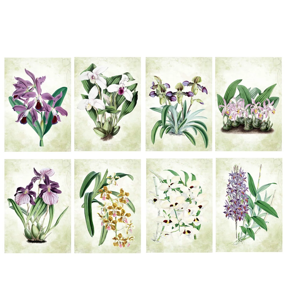 Винтажные зеленые листья орхидеи акварельные стильные художественные принты 8 в