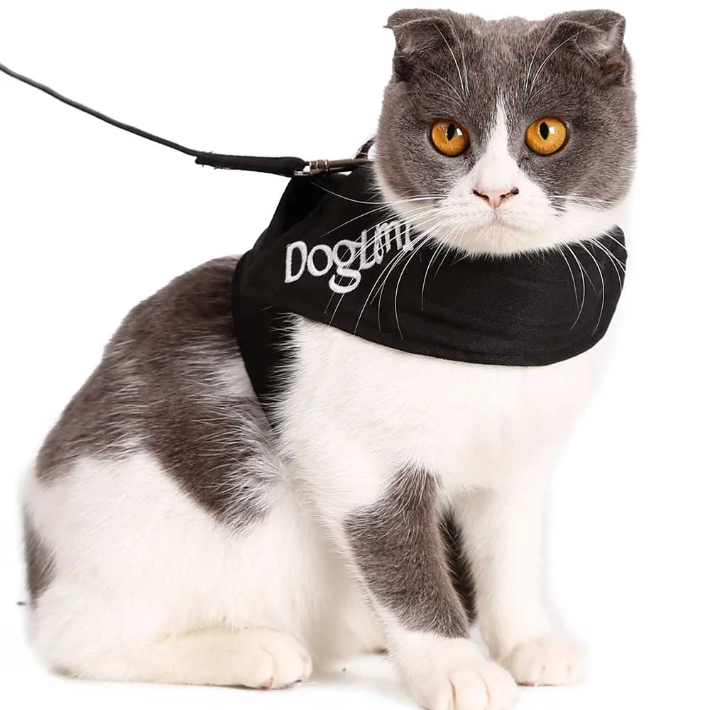 Милый Кот и поводок для поводков полиэстера котенок кошка щенка собаки Жилет