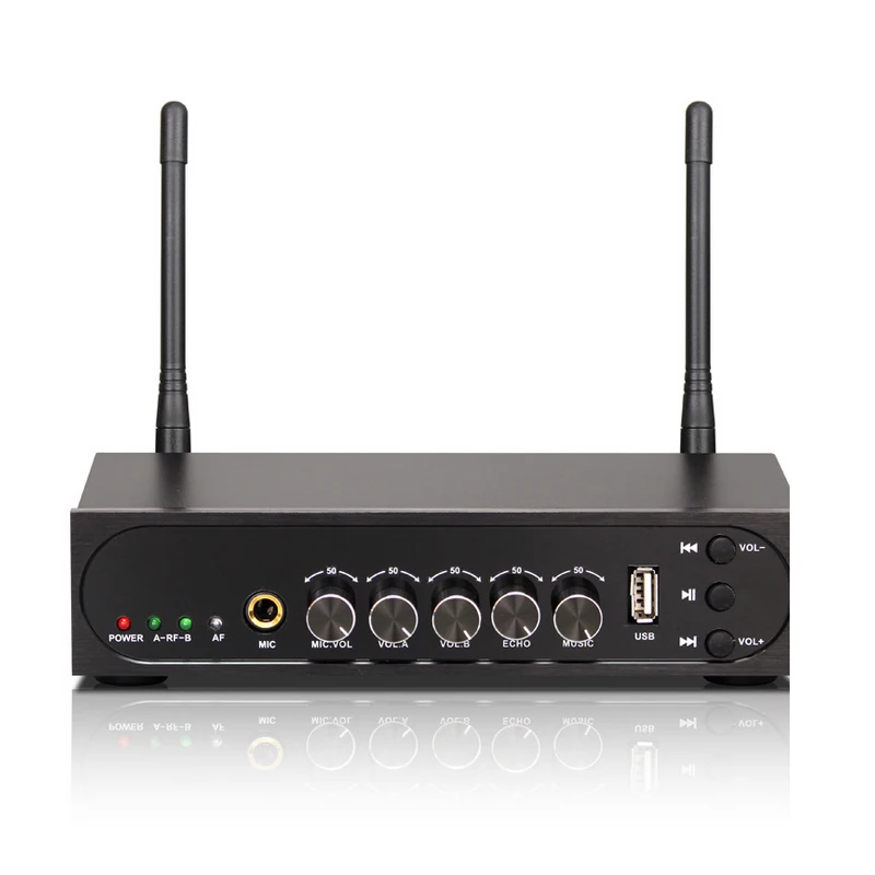 KEXU UHF Двухканальный беспроводной ручной микрофон с USB-портом простая в