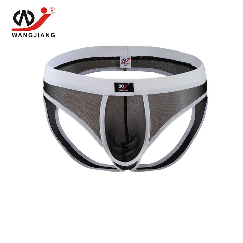 Transparent Mens Sexy Gay Underwear Breathable Nylon Briefs Slip Men Ropa Interior Hombre Silk Bikini 2004SH |