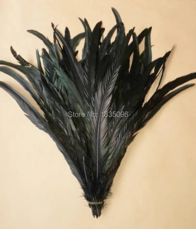 

Wholesale 50pcs /black painted rooster feathers 14-16 inches / 35-40 cm zone
