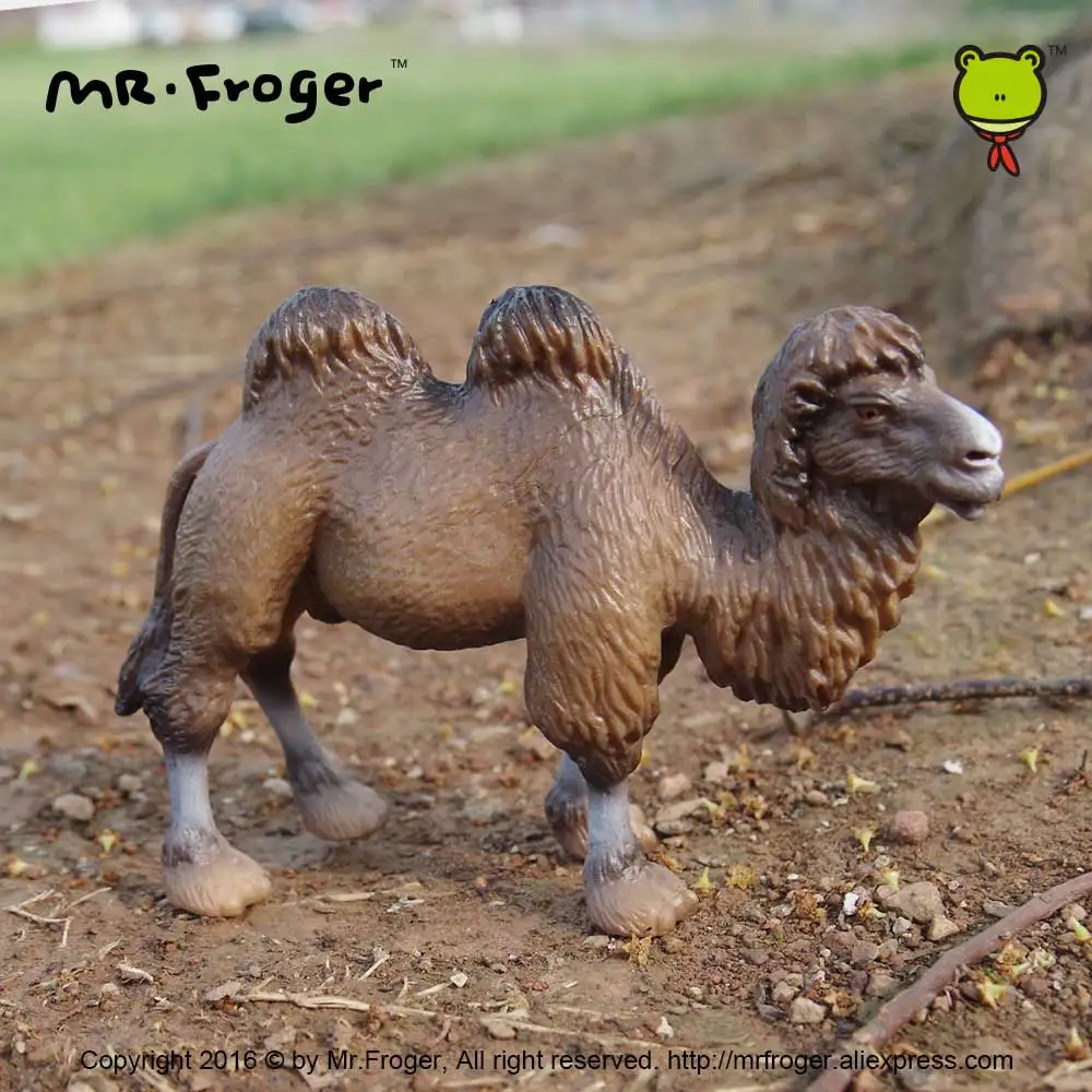 Фото Mr.Froger искусственная игрушка, набор для моделирования зоопарка, твердые пластиковые куклы из ПВХ, Детская научная и образовательная коллекц... №2