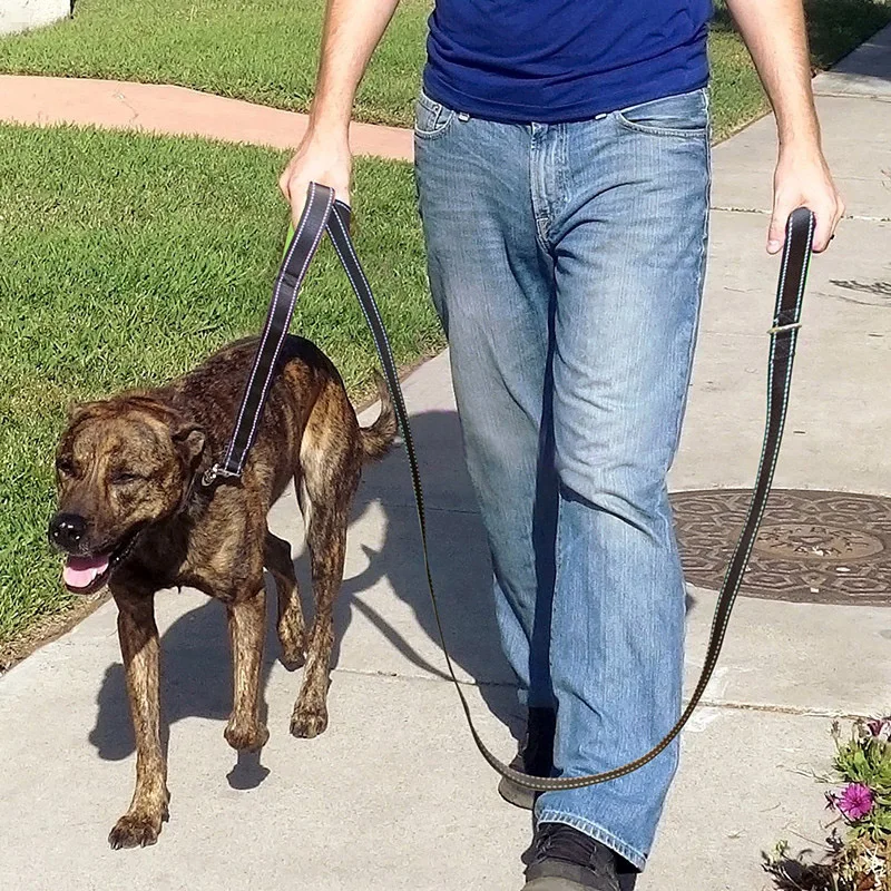 

Pet Dog Leash Stronger Clip Traffic Padded Two Handle Heavy Duty Double Handles Lead for Control Safety Training Leashes