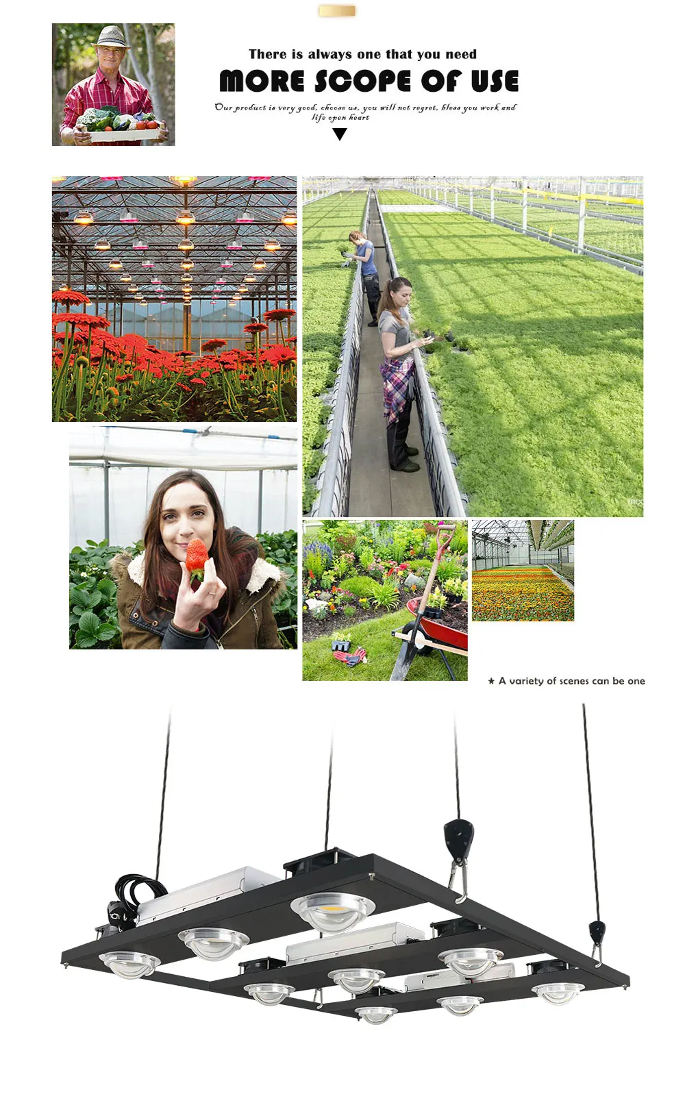 Диммируемый CREE CXB3590 900 Вт COB светодиодный светильник для выращивания полный спектр 114000лм = HPS 1500 Вт лампа для выращивания гидро комнатных растений светильник для роста ing
