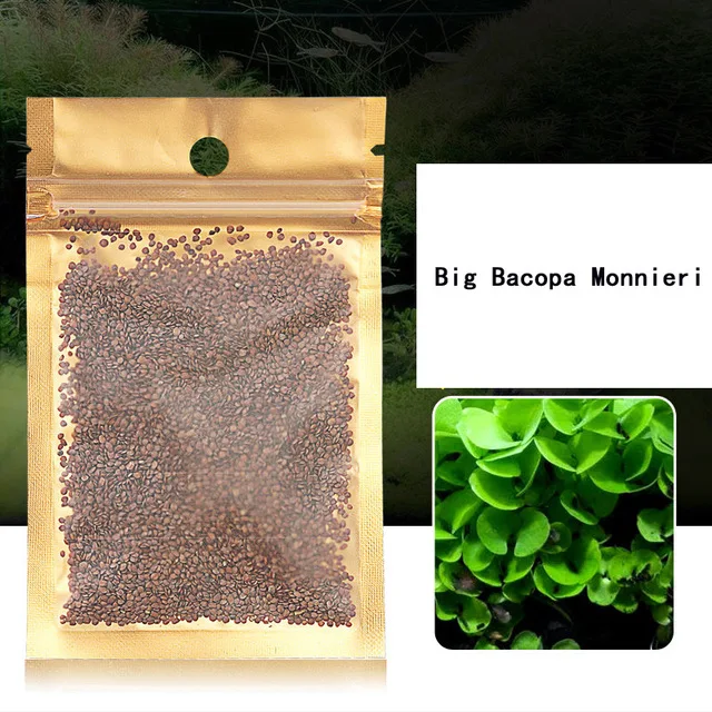 Big Bacopa monnieri Водная трава 7 видов стилей аквариумные растения любовь пластиковая водная трава аквариумные растения Украшение Пейзаж орнамент - Цвет: Big Bacopa monnieri