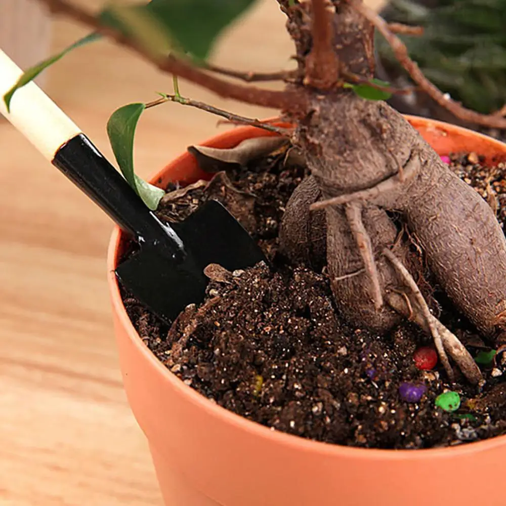 3 шт./компл. Мини Сад шт. набор инструментов для сада из нержавеющей стали лопатка