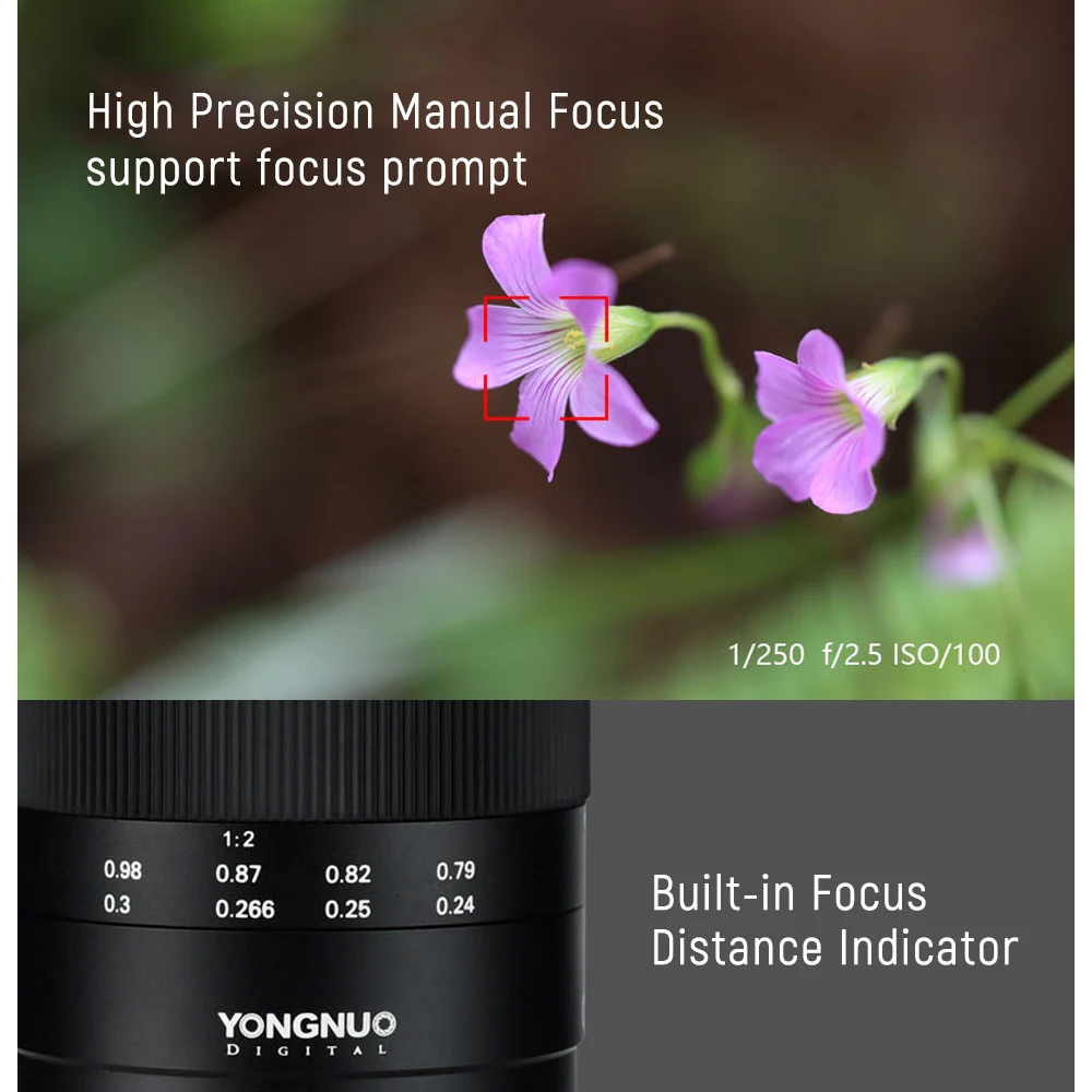 YONGNUO YN60mm F2 MF 0 234 m макрообъектив для Canon EOS 70D 5D2 5D3 600D DSLR камера с ручной