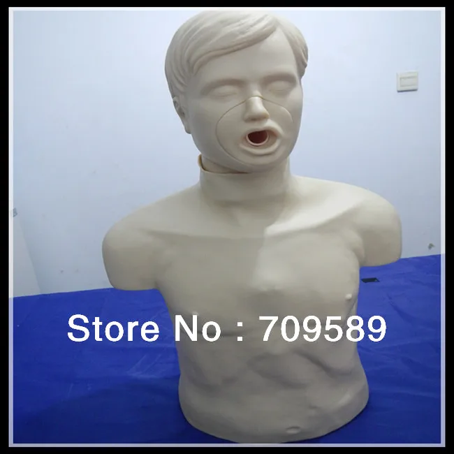 Модель обструкции для взрослых по стандарту ISO манекен проведения духов и