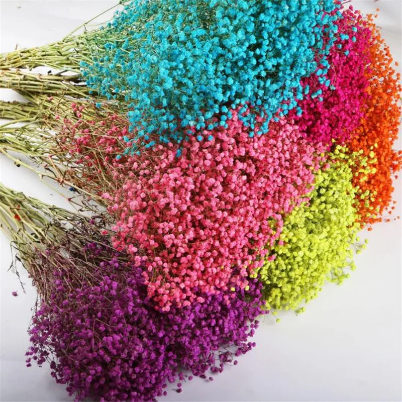 Красочные сушеные цветы Гипсофилы для свадебной вечеринки реквизит фотосессии