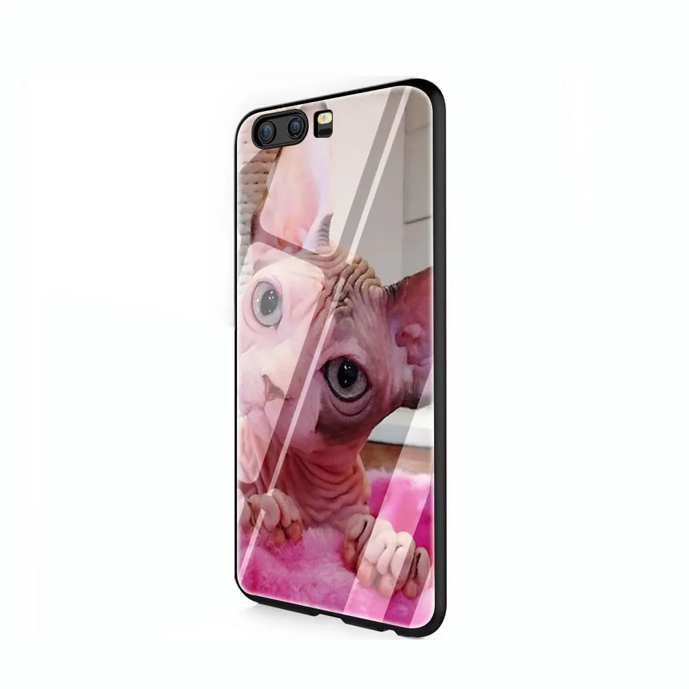 Чехол для телефона из закаленного стекла sphynx cat Huawei Mate P 10 20 30 Lite Pro Y9 Honor 8X 7A|Бамперы|