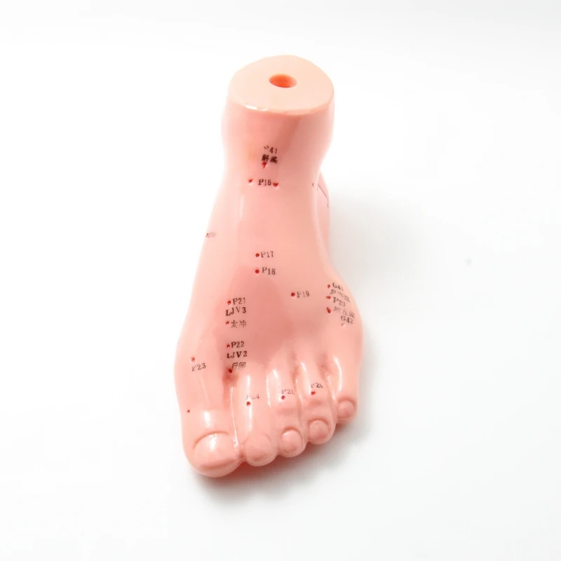 Акупунктурная модель для ног 13 см акупунктурная игла модель|acupuncture points model|acupoint