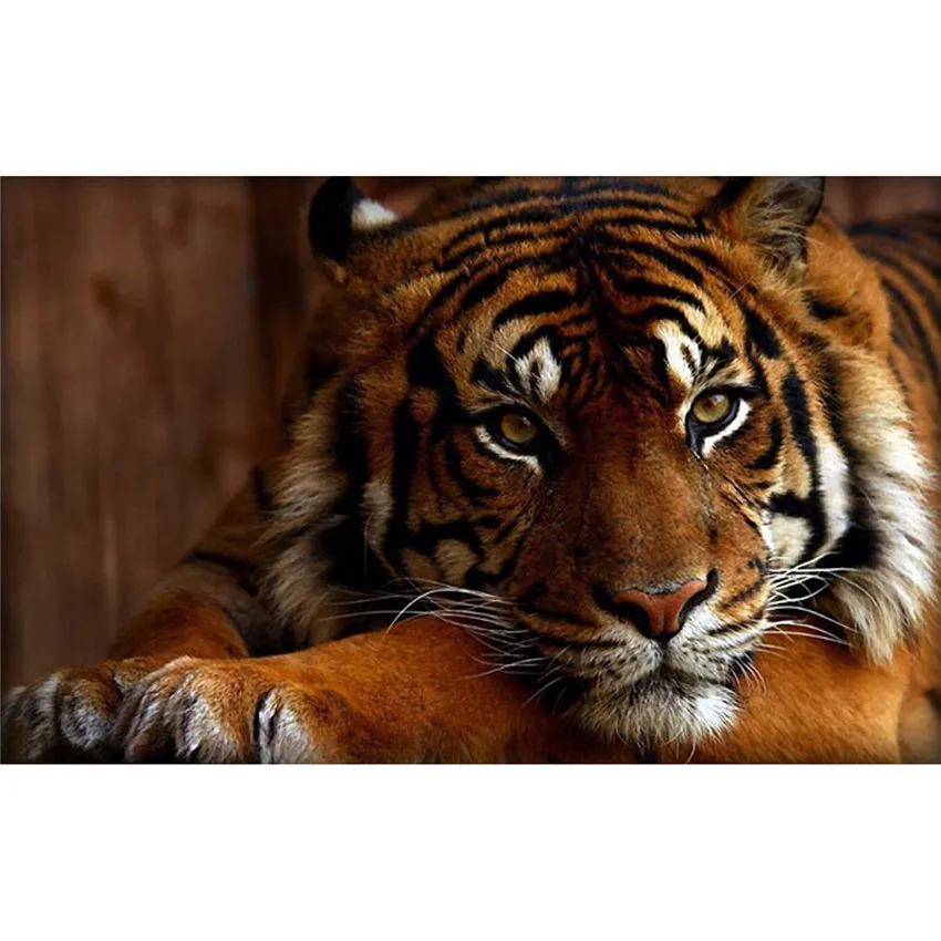 Набор алмазных 3D картин сделай сам King Tiger Animal для вышивки крестиком страз