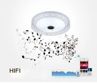 Bird Nest Wireless Bluetooth LED Ceiling Light Music & Multi-Colors Changing Smart Remote control Lamp metal & Acrylic lampshade