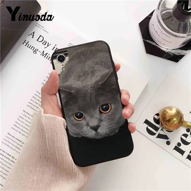 Yinuoda Британский короткошерстный чехол для iPhone 8 7 6 6S 6Plus X XS MAX 5 5S SE XR Fundas Capa 11 pro max |