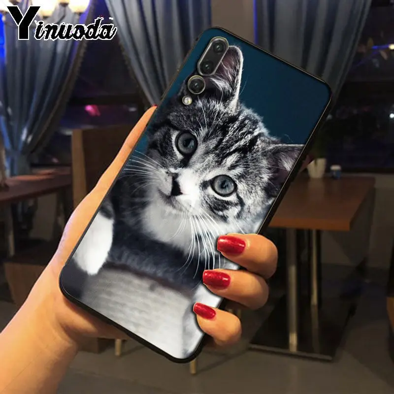 Yinuoda pet maine coon cat черный мягкий силиконовый чехол для телефона huawei p20 pro p20lite mate10pro nova