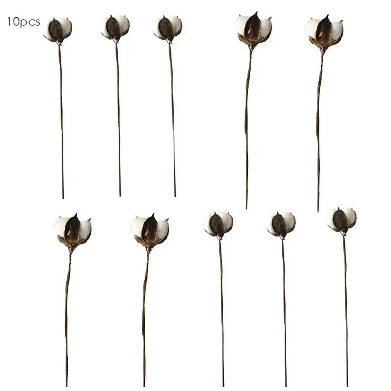 10 pcs 10 шт. искусственный цветок хлопок цветок ветка свадьба украшение дома реквизит для фотосессии сухой хлопок Цветок голова - Цвет: 10 pcs