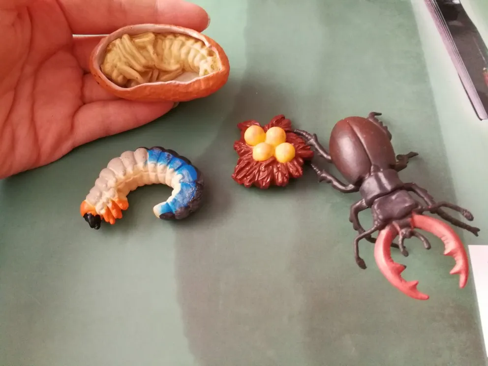 Фигурка из ПВХ Подлинная модель игрушка с оленьими рогами набор жизненного цикла