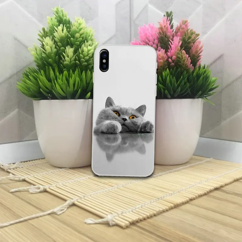 Мягкие ТПУ Силиконовые чехлы для мобильных телефонов iPhone 4 4S 5 5S 5C SE 6 6s 7 8 Plus X XR XS Max