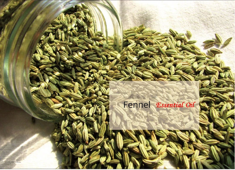 Dimollaure Эфирное масло фенхеля афродизиак снимает живот спа массаж тела