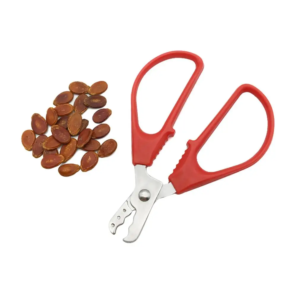 Полезная коробка из нержавеющей стали семена черной дыни белой фисташек