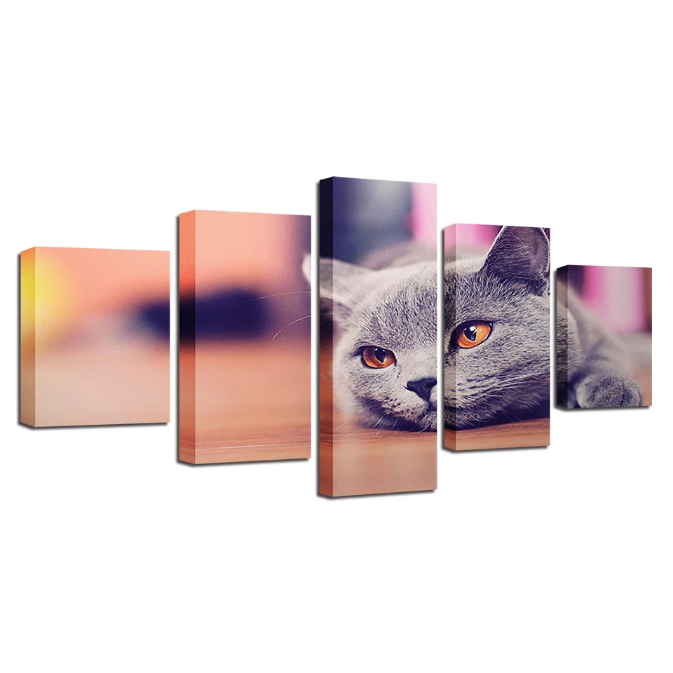 Canvas Paintings For Living Room Poster Framework 5 Panel Grey Cat Pictures Wall Art Animal Home Decor | Дом и сад