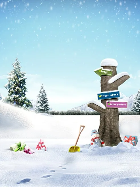 VinylBDS 5x7 футов зимние фоны Увядшие знаки Лопата Снеговик фотография фоны фото