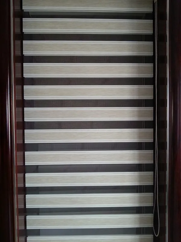 Элегантные двухслойные шторы с зебрами элегантные на окна для гостиной 6 видов